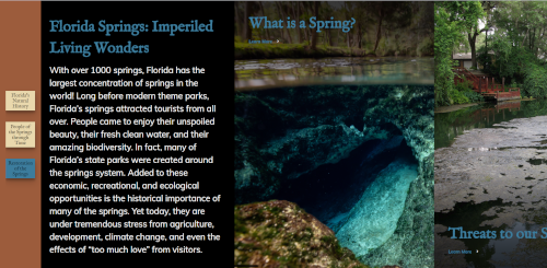 image of virtual gallery